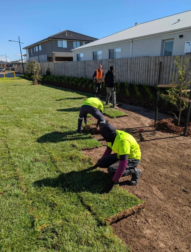 Professional gardener maintaining a residential outdoor area